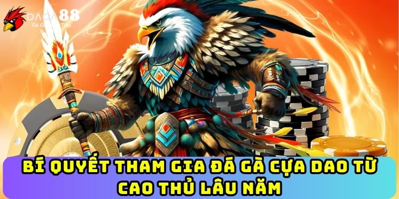 Bí quyết tham gia đá gà cựa dao từ cao thủ lâu năm