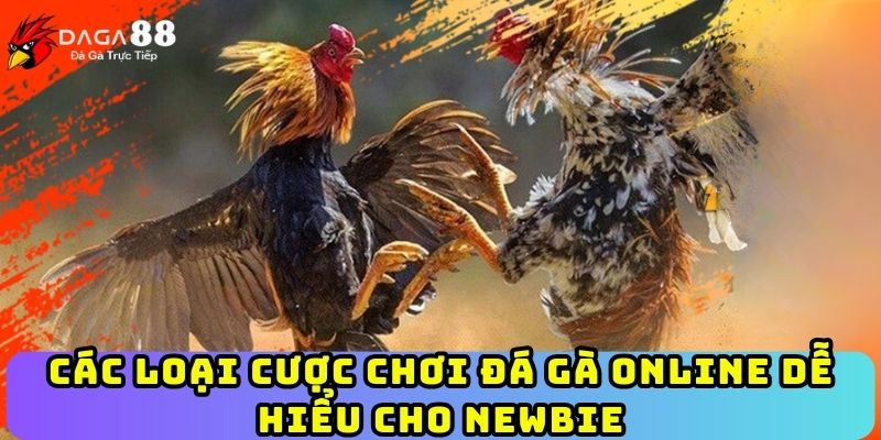 Các loại cược chơi đá gà online dễ hiểu cho Newbie