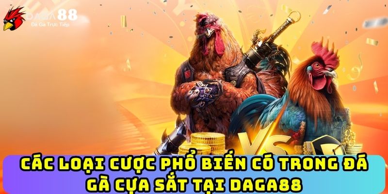 Các loại cược phổ biến có trong đá gà cựa sắt tại Daga88