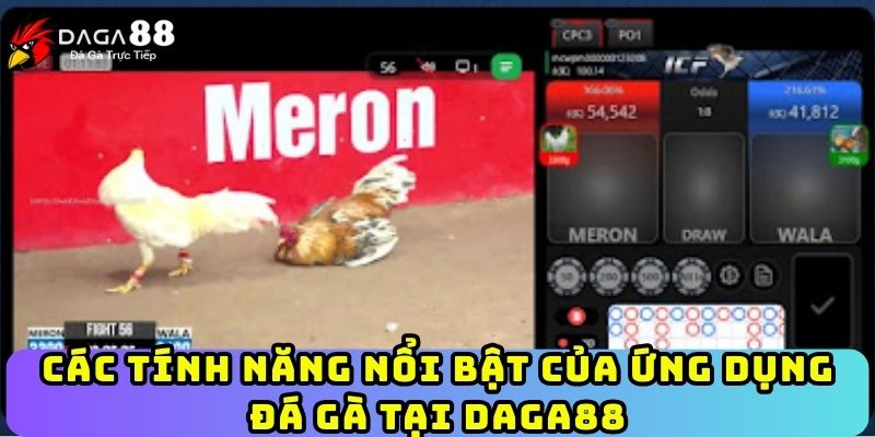 Các tính năng nổi bật của ứng dụng đá gà tại Daga88
