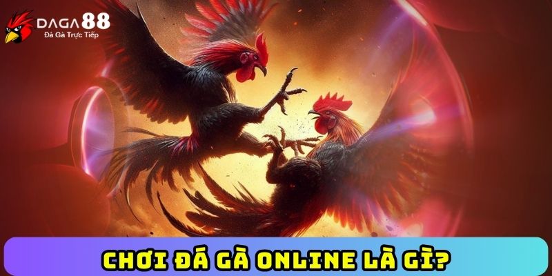 Chơi đá gà online là gì?