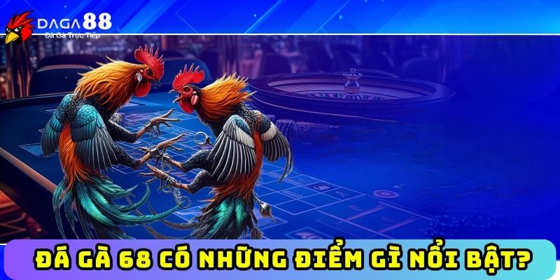 Đá gà 68 có những điểm gì nổi bật?