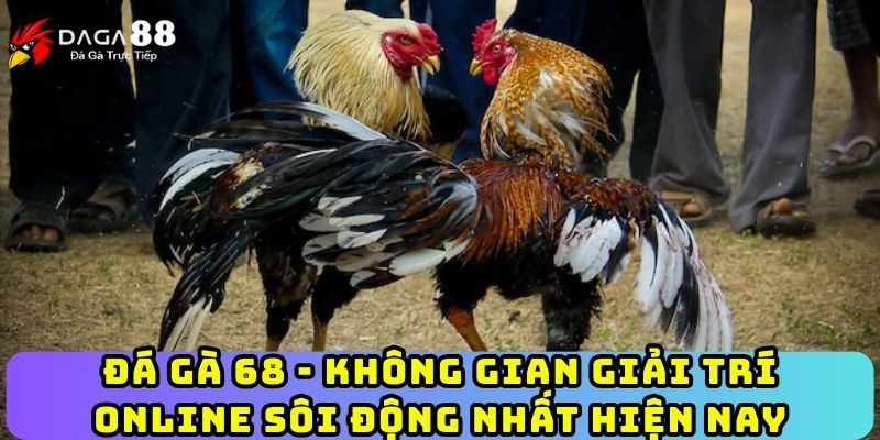 Đá Gà 68 - Không Gian Giải Trí Online Sôi Động Nhất Hiện Nay