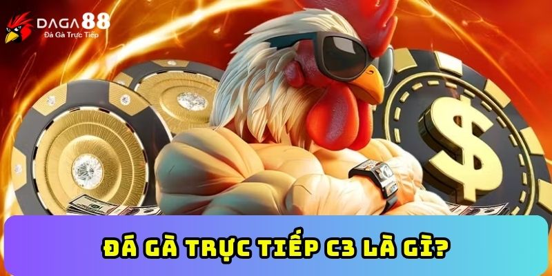 Đá gà trực tiếp C3 là gì?