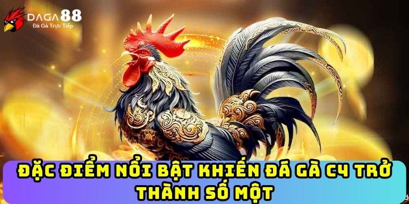 Đặc điểm nổi bật khiến đá gà C4 trở thành số một