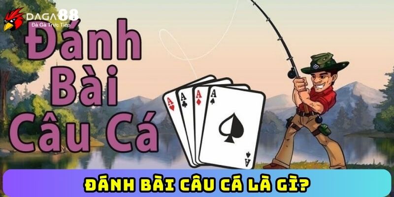 Đánh bài câu cá là gì?