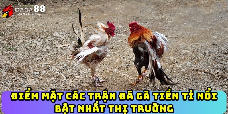 Điểm mặt các trận đá gà tiền tỉ nổi bật nhất thị trường