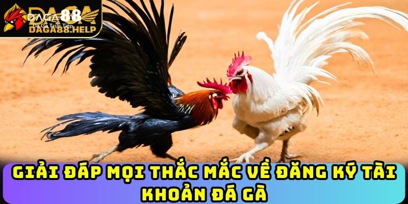 Giải đáp mọi thắc mắc về đăng ký tài khoản đá gà