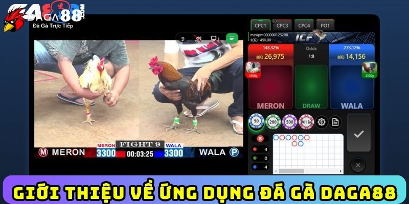 Giới thiệu về ứng dụng đá gà Daga88