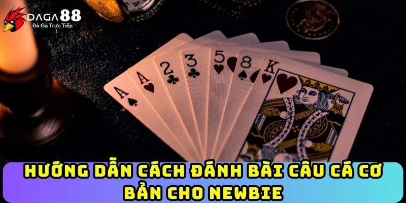 Hướng dẫn cách đánh bài câu cá cơ bản cho Newbie