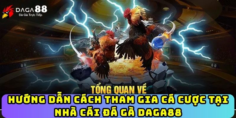 Hướng dẫn cách tham gia cá cược tại nhà cái đá gà Daga88