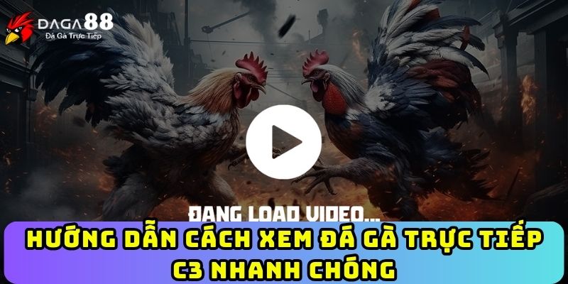 Hướng dẫn cách xem đá gà trực tiếp C3 nhanh chóng