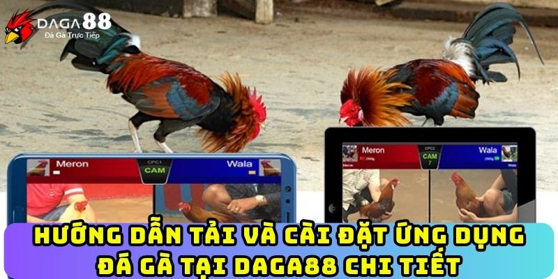 Hướng dẫn tải và cài đặt ứng dụng đá gà tại Daga88 chi tiết