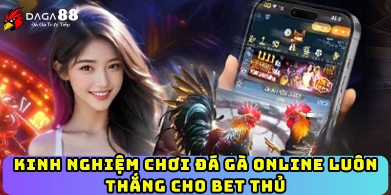 Kinh nghiệm chơi đá gà online luôn thắng cho bet thủ