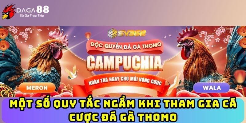 Một số quy tắc ngầm khi tham gia cá cược đá gà Thomo