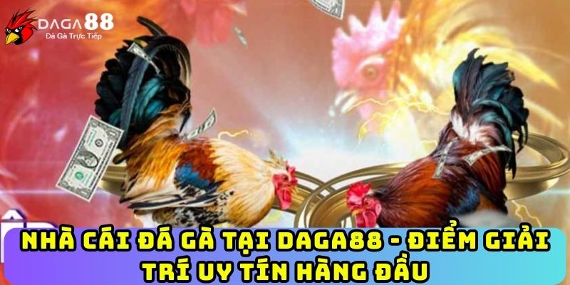 Nhà Cái Đá Gà Tại Daga88 - Điểm Giải Trí Uy Tín Hàng Đầu