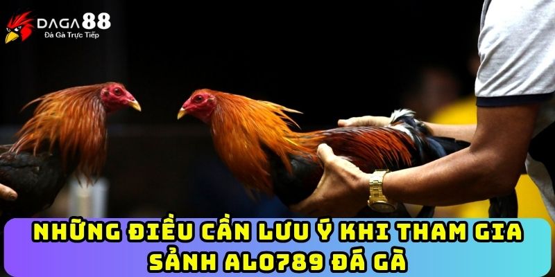 Những điều cần lưu ý khi tham gia sảnh ALO789 đá gà