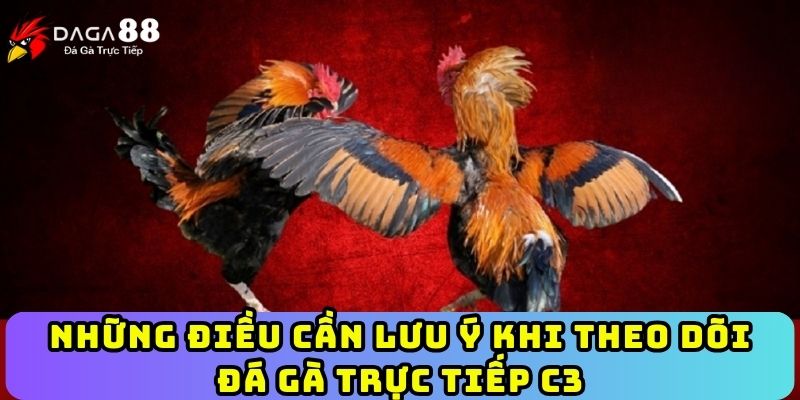 Những điều cần lưu ý khi theo dõi đá gà trực tiếp C3