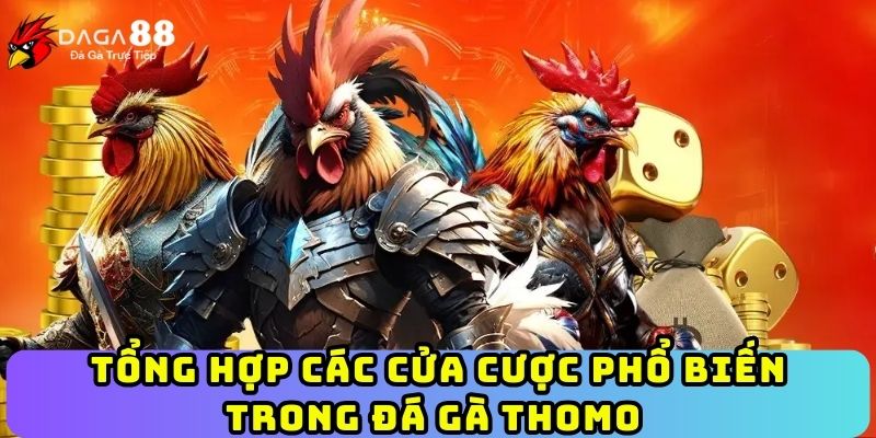 Tổng hợp các cửa cược phổ biến trong đá gà Thomo