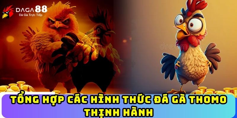 Tổng hợp các hình thức đá gà Thomo thịnh hành