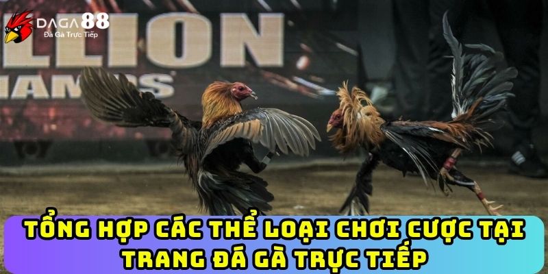 Tổng hợp các thể loại chơi cược tại trang đá gà trực tiếp