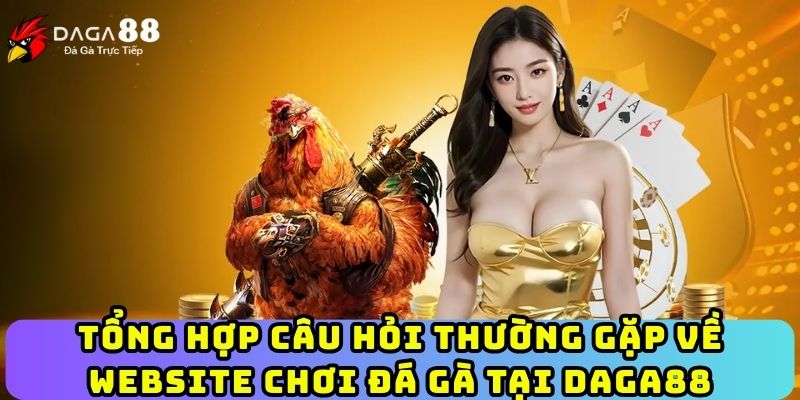 Tổng hợp câu hỏi thường gặp về website chơi đá gà tại Daga88
