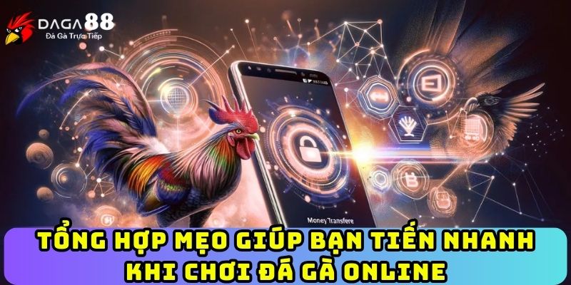 Tổng hợp mẹo giúp bạn tiến nhanh khi chơi đá gà online