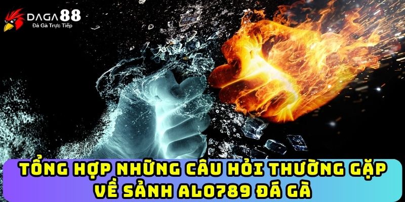 Tổng hợp những câu hỏi thường gặp về sảnh ALO789 đá gà