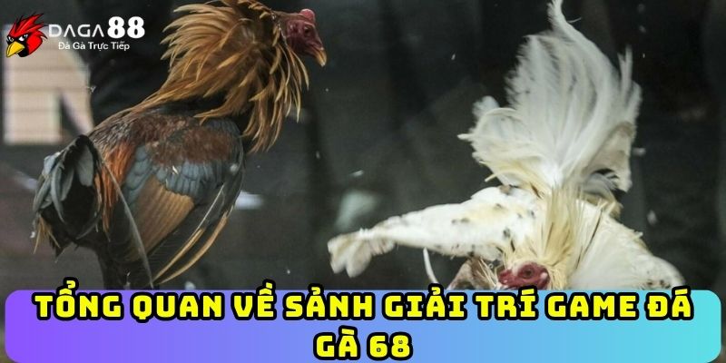 Tổng quan về sảnh giải trí game đá gà 68