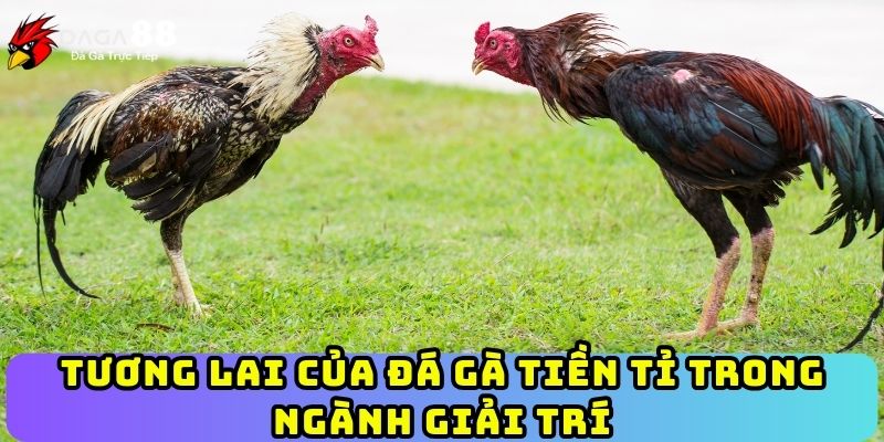 Tương lai của đá gà tiền tỉ trong ngành giải trí