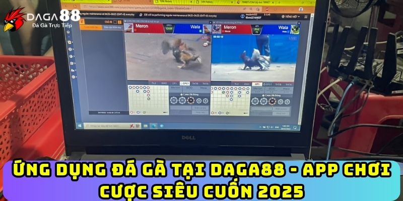Ứng Dụng Đá Gà Tại Daga88 - App Chơi Cược Siêu Cuốn 2025
