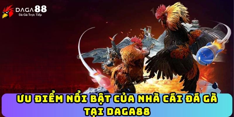 Ưu điểm nổi bật của nhà cái đá gà tại Daga88