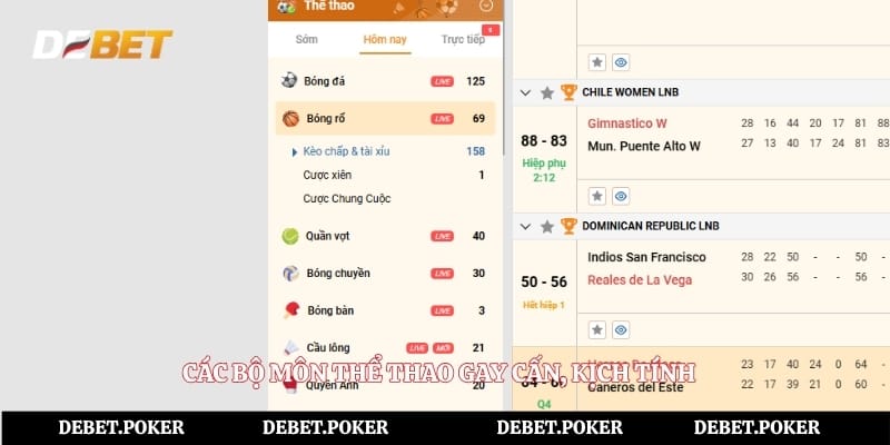 Các bộ môn thể thao gay cấn, kịch tính