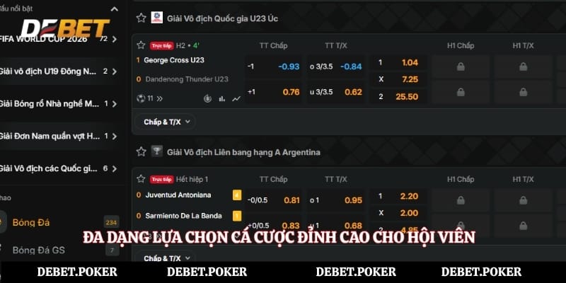 Đa dạng lựa chọn cá cược đỉnh cao cho hội viên